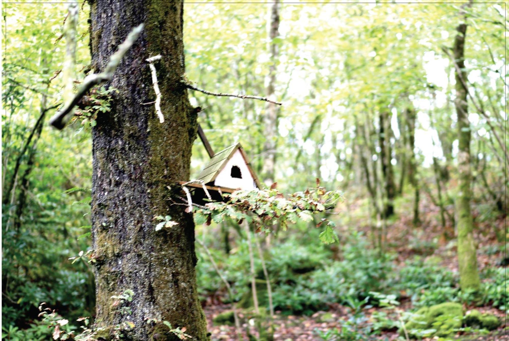 Afon Rhaiadr Country House Dolgellau Εξωτερικό φωτογραφία