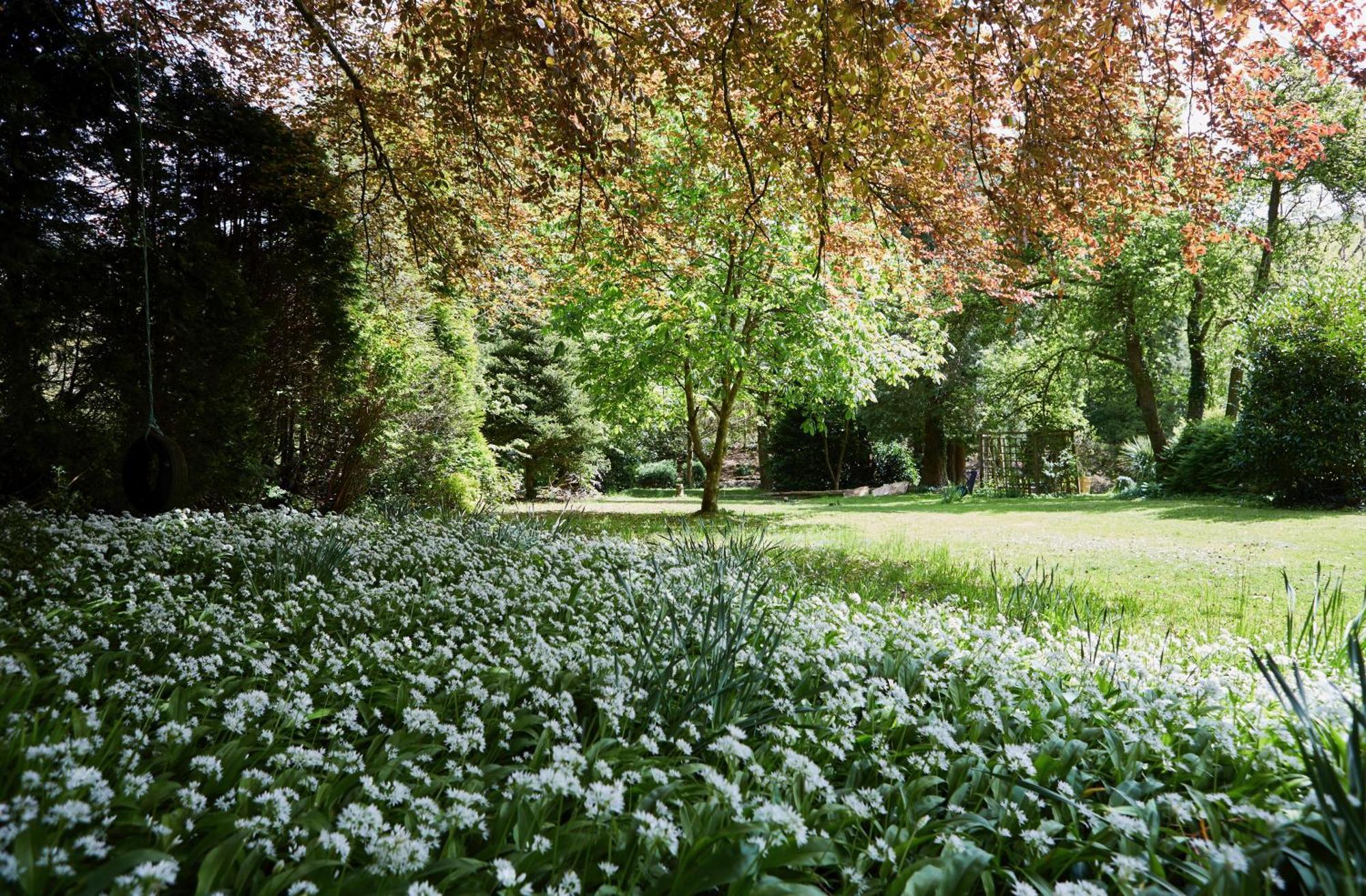 Afon Rhaiadr Country House Dolgellau Εξωτερικό φωτογραφία